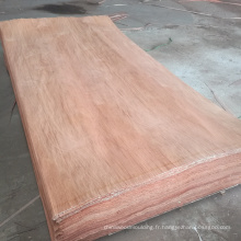 PLB Face Placage 0.3mm Placage Naturel Shandong Linyi